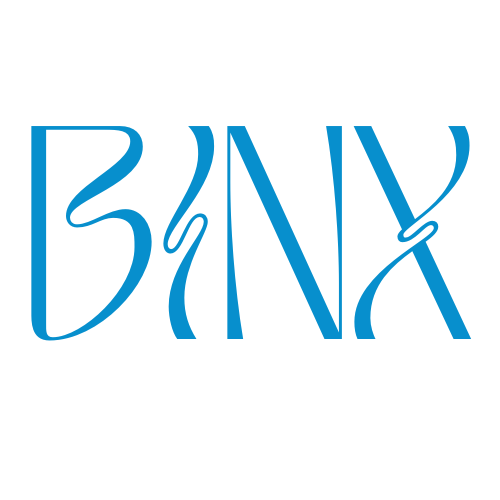 Binx Boutique